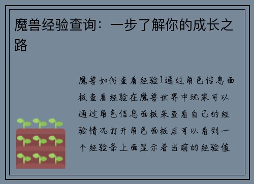 魔兽经验查询：一步了解你的成长之路